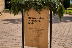 vd-Boda-en-Mas-Palau-35